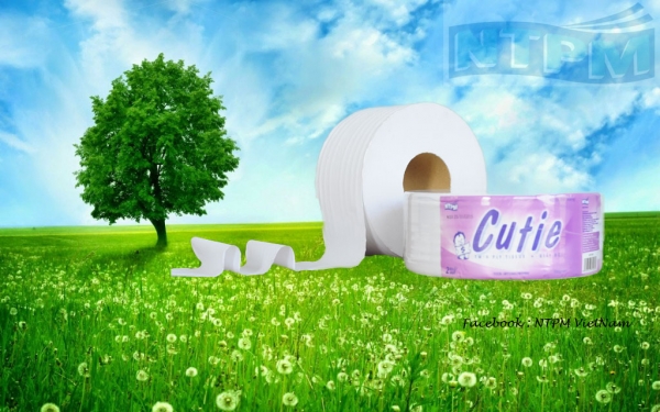 THỊ TRƯỜNG GIẤY TIÊU DÙNG: LOẠN CHẤT LƯỢNG